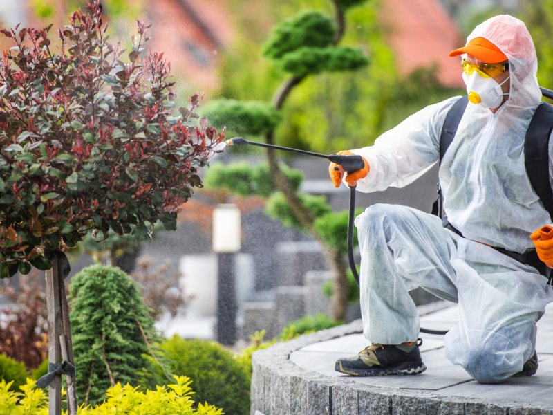 Olur Haşere İlaçlama